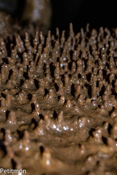 Petitmón en Hamelin: Paisaje, Pequeñas formaciones en suelo.
#paisaje
#espeleotemas 