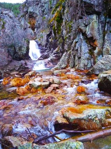 Mjesusalmendro en Hamelin: Paisaje 