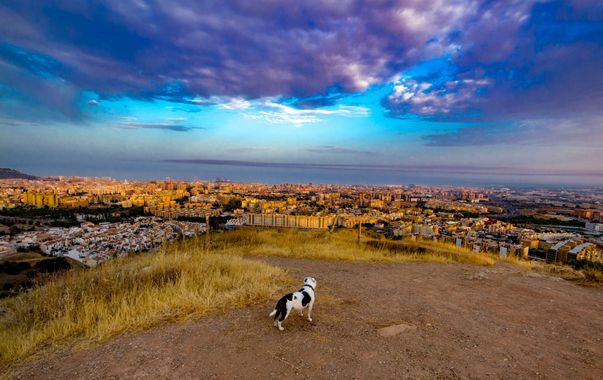 Soul35 en Hamelin: Paisaje, #paisaje 
