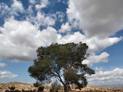 Solerantonio2 en Hamelin: Paisaje  (Benahadux), Coinsidencias visuales