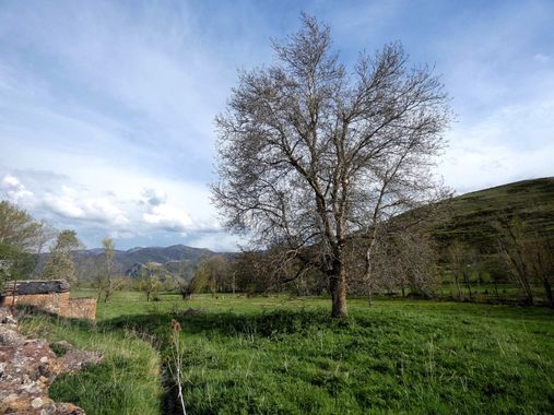 mariale en Hamelin: Paisaje  (Cabrillanes), 📸 #marialemdza #CumpleHamelin
#primavera2022 #spring2022 #ProvinciaDeLeón #Babia  #ComarcaDeBabia 