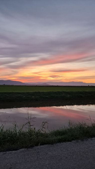 Lauratduch en Hamelin: Paisaje  (Amposta), Puesta de sol#paz#tranquilidad