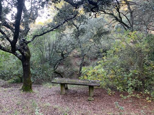 Manubarbecho en Hamelin: Paisaje  (Córdoba), #ParquesyJardines      Parque Forestal Los Villares (Córdoba) 