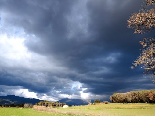 Bellasira en Hamelin: Paisaje  (Avinguda de les Corts Catalanes), .
