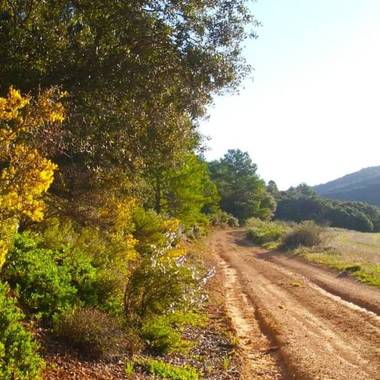 Mjesusalmendro en Hamelin: Paisaje,        