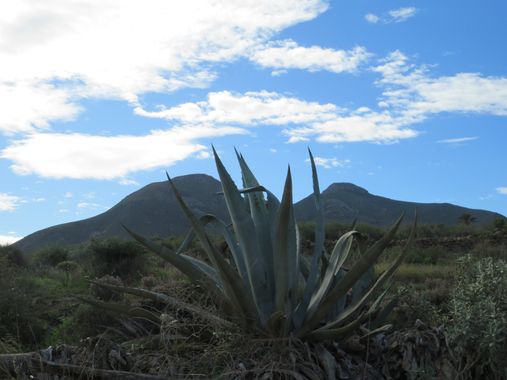 Solerantonio2 en Hamelin: Paisaje  (Níjar), Coinsidencias visuales