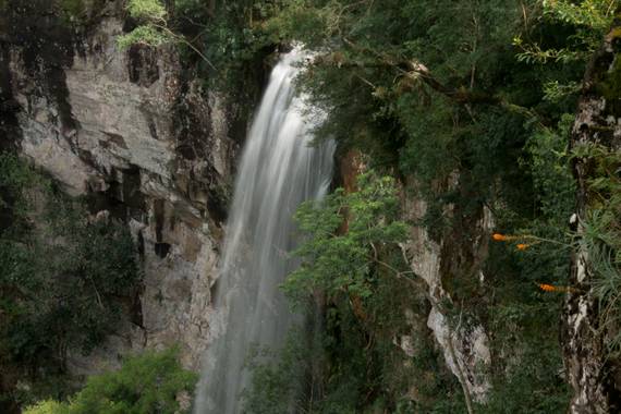 rociozarate41 en Hamelin: Paisaje  (Aristóbulo del Valle), #parquesyjardines #misionesargentina #misiones 