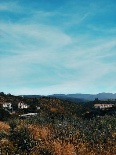 Fernanda González  en Hamelin: Paisaje  (Quilpué), Cerro🌲 Octubre 2020
#paisaje #chile #fernnxnda #verde #cielo #mountain #cerro #naturaleza #photooftheda...