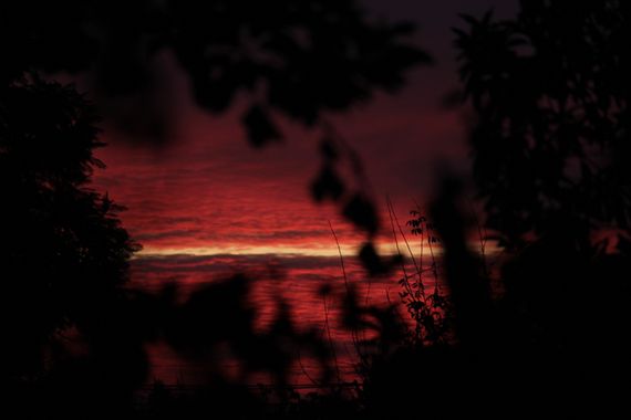 XxPrOzMeNxX en Hamelin: Paisaje, #amarillo #arbol #atardecer #baum #cielo #day #dia #fotografia #fotografie #gelb #himmel #licht #light #line #linea #lini...