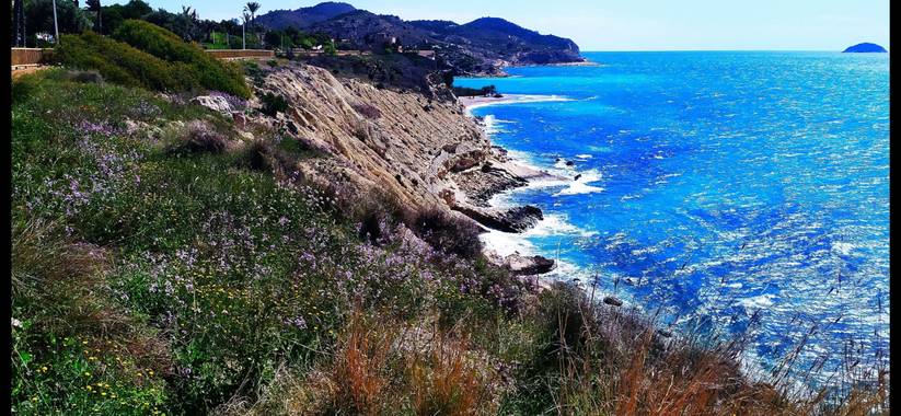Mcjarama en Hamelin: Paisaje  (Villajoyosa), #flora21  #paisaje#mar#montaña