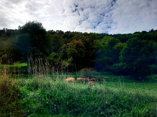 Naomi en Hamelin: Paisaje  (Tavertet), #paisajenatural 