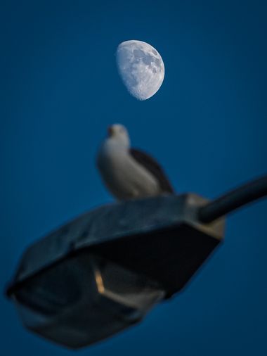 Kikojimenez1977 en Hamelin: Paisaje, #moonphotography #landscape #night 