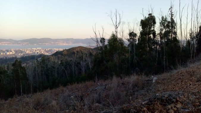 David en Hamelin: Paisaje  (Vigo), #vigo #paisajes 