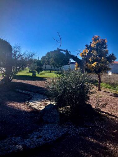 Sayurigion en Hamelin: Paisaje  (Cantalpino), #parquesyjardines