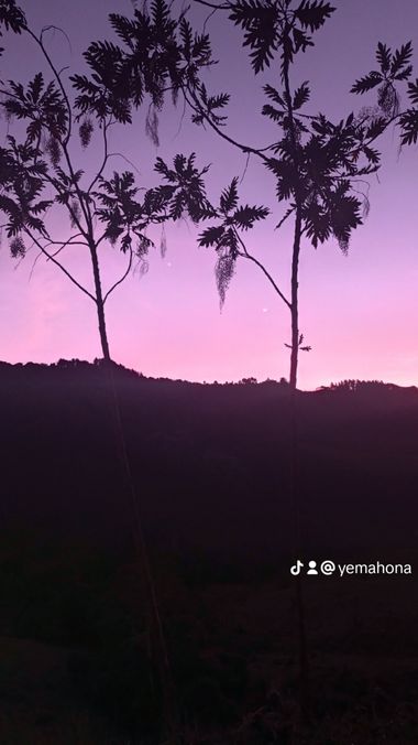 Yerika.hoyos en Hamelin: Paisaje, #atardecer 