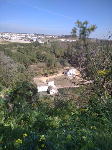 Msdh1981 en Hamelin: Paisaje  (Alcalá de Guadaíra), Parque Oromana. Molino de Benarosa. 
Alcalá de Guadaíra