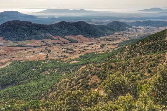 Santirj en Hamelin: Paisaje  (Mula), Senda ente camino de los Tornajos y Pico de la Selva.
#laselva #caminolostornajos 