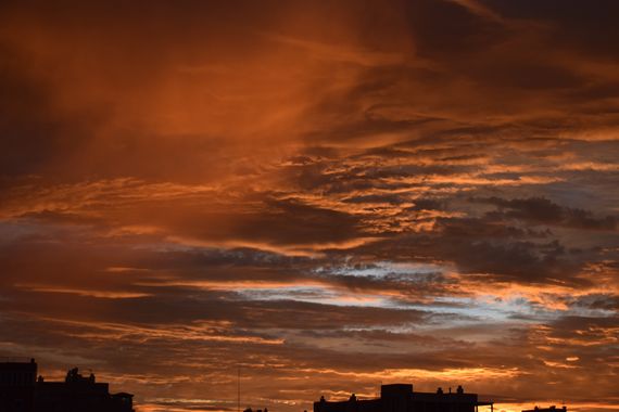 Solerantonio2 en Hamelin: Paisaje  (Calle Mirlo), Coincidencias visuales