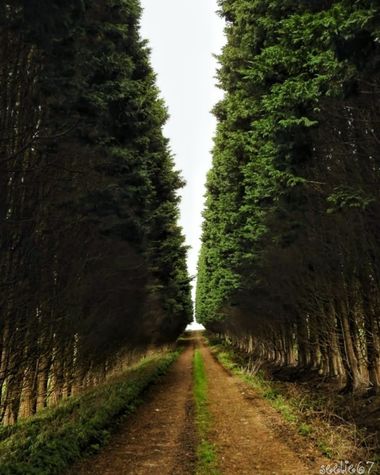 seelie67 en Hamelin: Paisaje  (Valdés), #rural #rural #paisaje #asturias #asturiasparaisonatural 