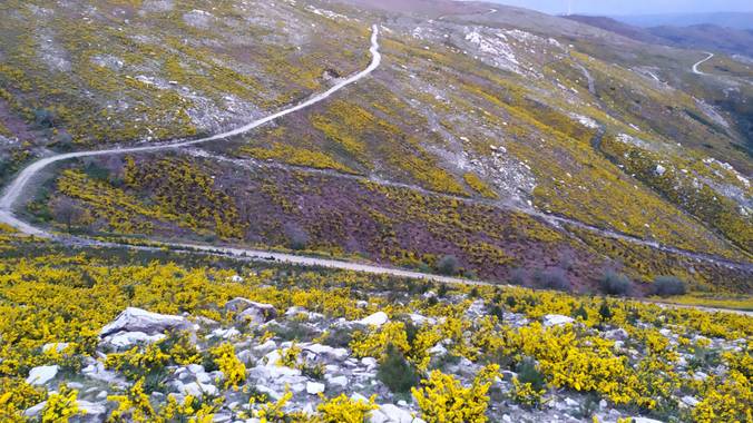 David en Hamelin: Paisaje  (A Cañiza), #Paisaje