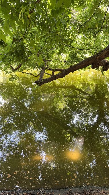 Eudimer20 en Hamelin: Paisaje, #rurales #agua #rural