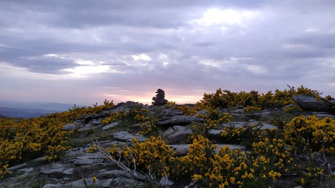 David en Hamelin: Paisaje  (A Cañiza), #paisaje