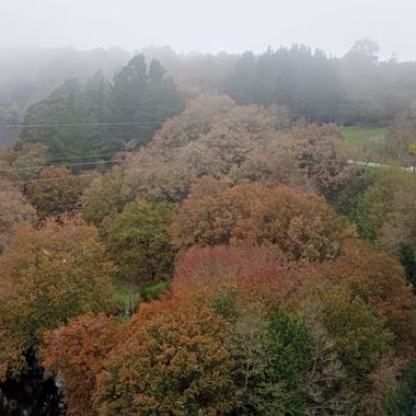 Susandresro en Hamelin: Paisaje  (Lugo), Otoñales colores