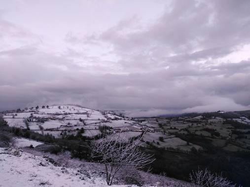 Laurina_grao en Hamelin: Paisaje  (Grado), #nieveenasturias#