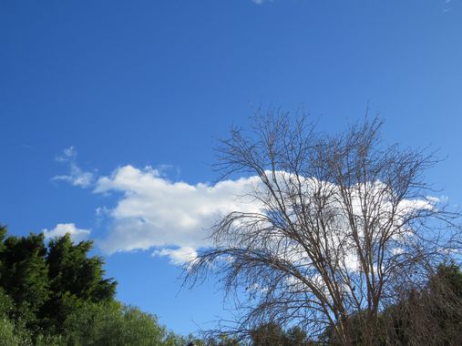 Solerantonio2 en Hamelin: Paisaje  (Almería), Coinsidencias visuales