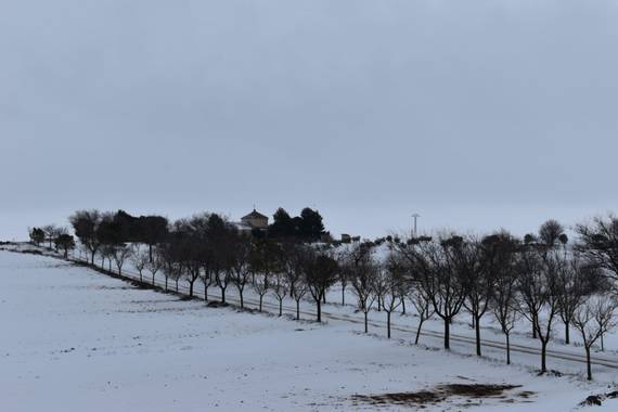Ismarule3 en Hamelin: Paisaje, #invierno20 #filomena #nieve #enero2021  