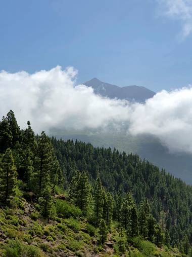 Melchique en Hamelin: Paisaje  (Santiago del Teide), El Teide entre las nubes.  La foto está tomada desde la Montaña de Gala, Parque rural Teno (aprox 1300...