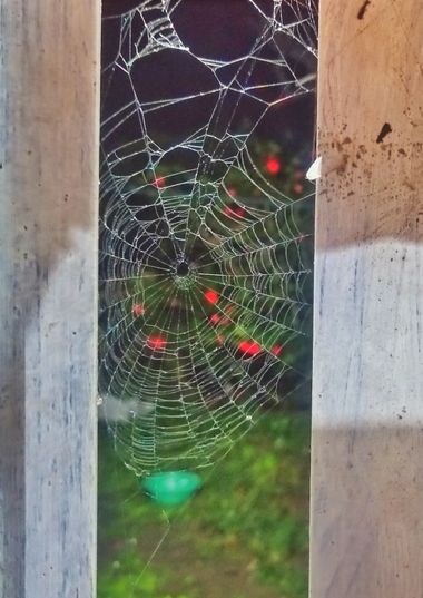 ComunicarCaminante en Hamelin: Paisaje  (Garzón), Telaraňa en mi ventana #telaraňa #rurales #anaňa #venrana