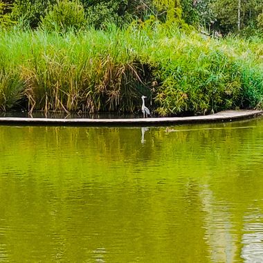 Albert en Hamelin: Paisaje, #agua 