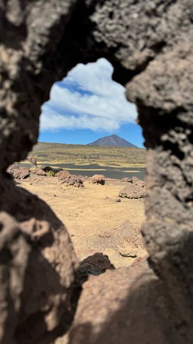 Gabiseva en Hamelin: Flora  (Distrito Río Barrancas), #mendozaargentina #lapayunia #reservalapayunia #circuitolosvolcanes 