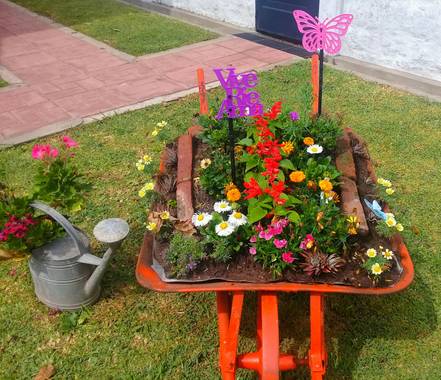 Mariano G en Hamelin: Paisaje, #ParquesyJardines 
#IdeasOriginales   
#ArreglosParaelJardin

Lugar: Convento de carmelitas descalzas en la ciudad de Luján...
