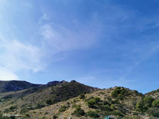 Patricia Anguita  en Hamelin: Paisaje, #montañas#verde#arbokes#paisajenatural#sierradechurriana#churriana, malaga#