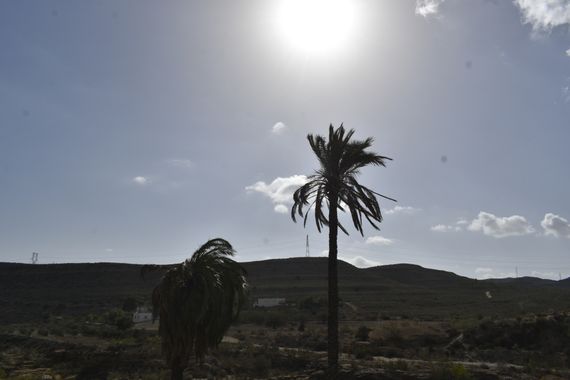 Solerantonio2 en Hamelin: Paisaje  (Carboneras), Coinsidencias visuales