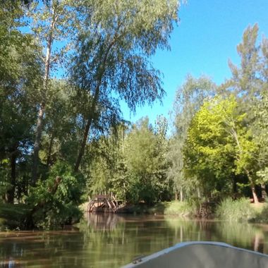 maaiii.r en Hamelin: Paisaje, #isla #paisaje #agua #arboles #naturaleza 