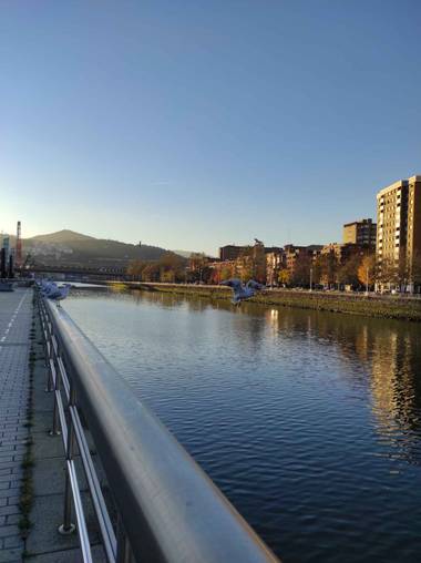 Lorena-_11 en Hamelin: Fauna  (Bilbo), Ría de #bilbao