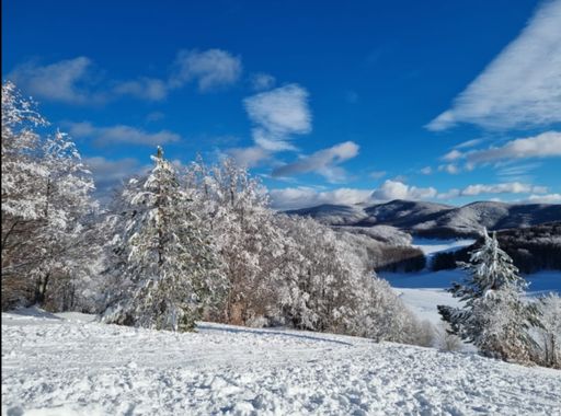 Ricardoalfonso.2112 en Hamelin: Paisaje  (Skútustaðahreppur), #