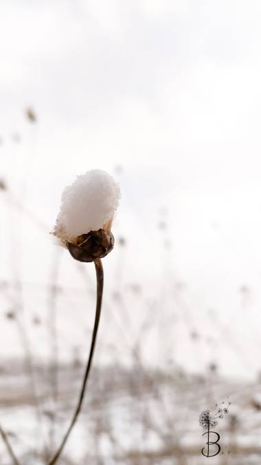 Conbyconv en Hamelin: Paisaje  (Fuenlabrada), #paisaje20 #invierno20