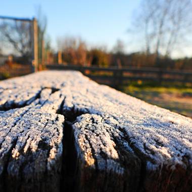 Georginaag en Hamelin: Paisaje  (Tordera), #invierno20 #paisaje #naturaleza #hielo 