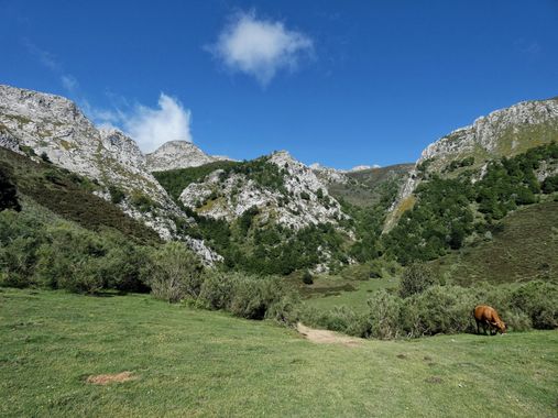 mariale en Hamelin: Paisaje  (Caso), 📸 #marialemdza
💚 🌿🌸🌿💚
#CumpleHamelin
#Naturaleza #BellezaNatural #paisaje 
#Asturias  #Montaña #forest #bosque #...