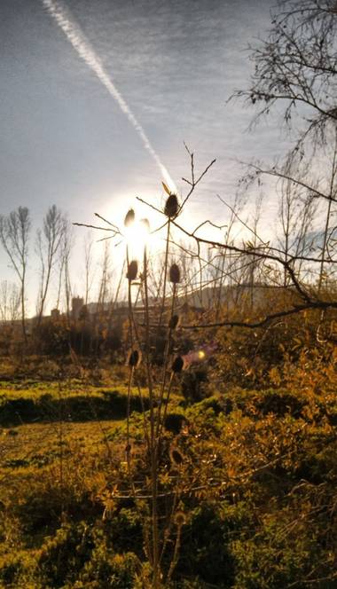 Teo en Hamelin: Paisaje  (Villamuriel de Cerrato), #atardecer#otoño#castilla