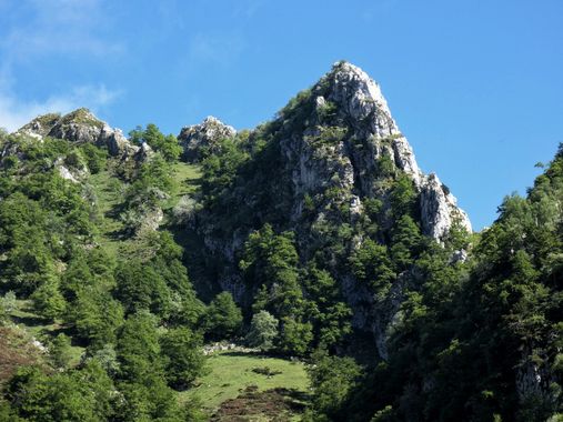 mariale en Hamelin: Paisaje  (Caso), 📸 #marialemdza
💚 🌿🌸🌿💚
#CumpleHamelin
#Naturaleza #BellezaNatural #paisaje 
#Asturias  #Montaña #forest #bosque #...