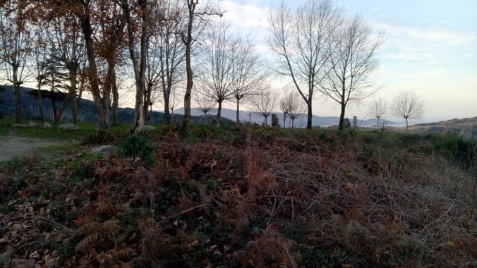 David en Hamelin: Paisaje  (Vigo), #vigo #amanecer