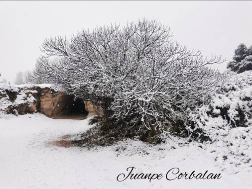 Juan Pedro Corbalan Corbalan en Hamelin: Paisaje  (Caravaca de la Cruz), #fuentesdelmarques2021#