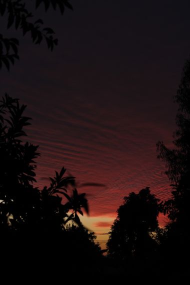 XxPrOzMeNxX en Hamelin: Paisaje, #arboles #atardecer #bäume #black #cielo #clouds #fotografia #fotografie #himmel #lila #morado #naranja #natur #naturalez...