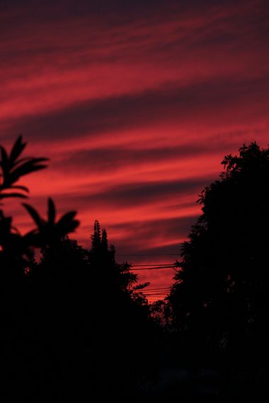 XxPrOzMeNxX en Hamelin: Paisaje, #arboles #atardecer #bäume #cielo #clouds #color #farben #fotografia #fotografie #himmel #nubes #phothography #red #rojo ...