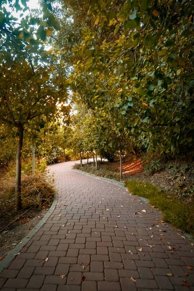 Iman.akhrouf en Hamelin: Paisaje  (Málaga), #jardinbotanico #malagaphotography #fotografiadenatureza 
#flora 